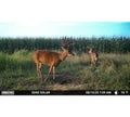 Moultrie Edge Solar Trail Camera 1080p 40mp Rechargable Battery Brown