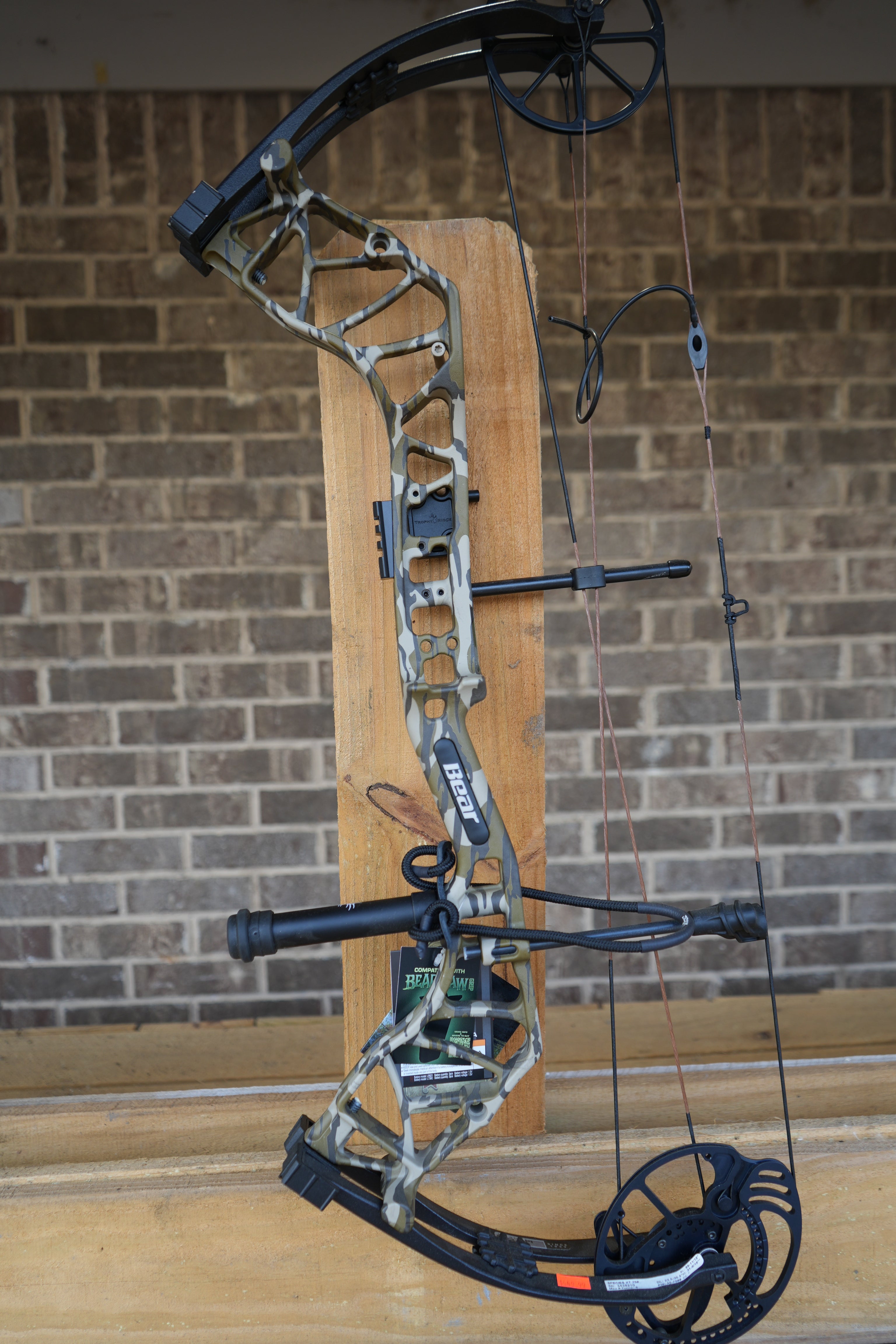 BEAR SPECIES XT COMPOUND BOW RTH PACKAGE