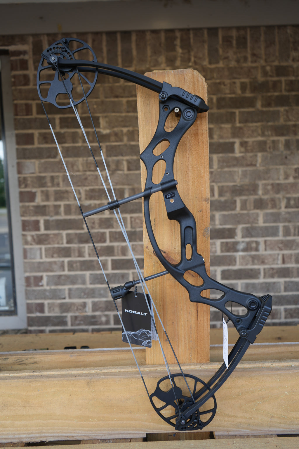 Hoyt Kobalt Youth Compound Bow