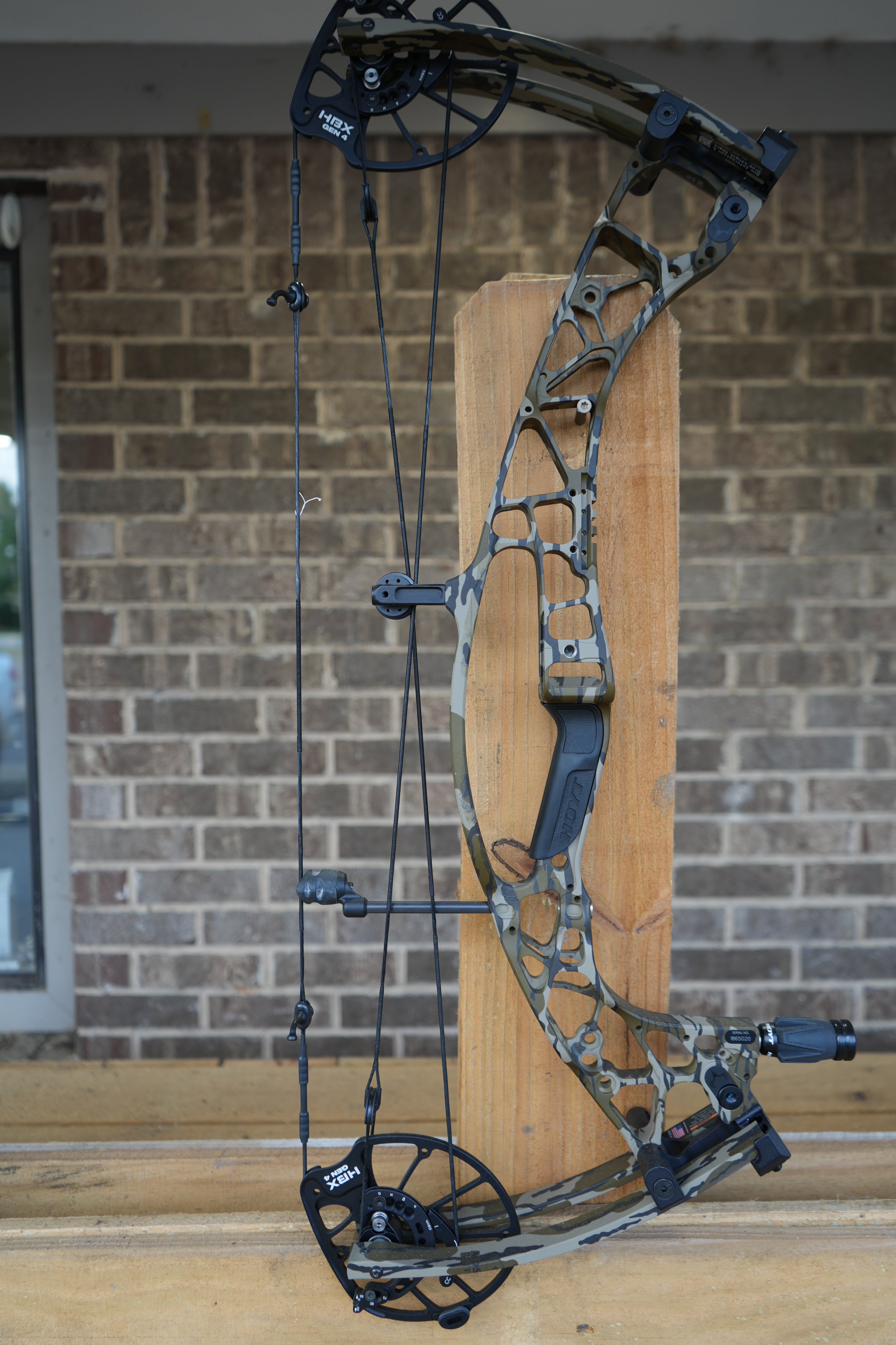 HOYT Alpha AX-3 29 Compound Bow