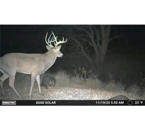Moultrie Edge Solar Trail Camera 1080p 40mp Rechargable Battery Brown