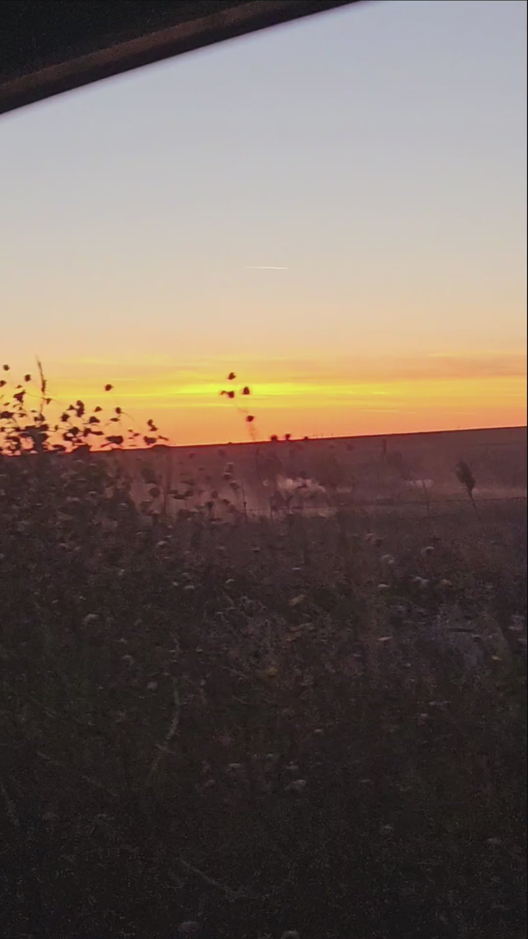 Oklahoma Trophy Whitetail hunt for Lebonheur Childrens Hospital
